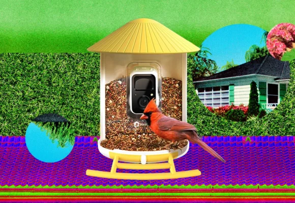 The Smart Bird Feeders Everyone’s Talking About (and Actually Buying) (2026)